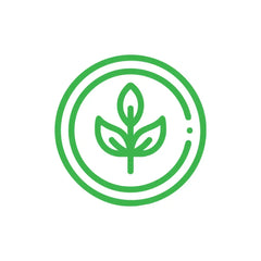 Organic & Super Food